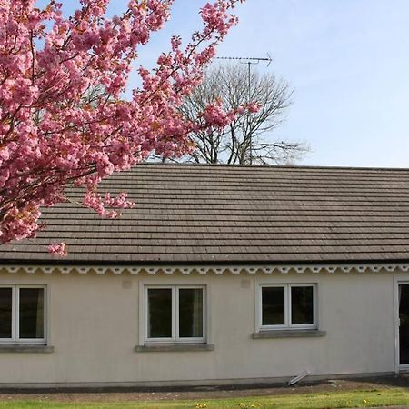 Sunny Bungalow Кортаун Экстерьер фото