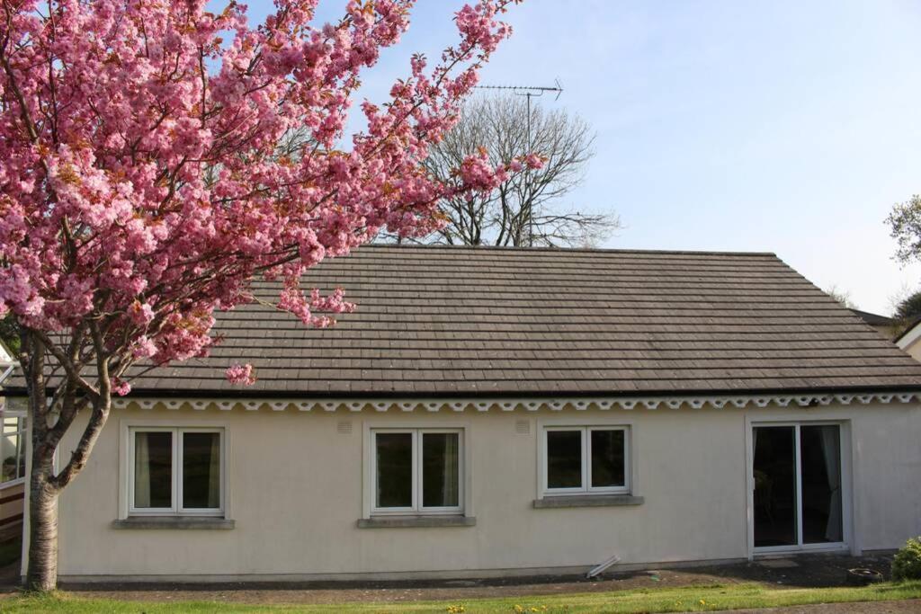 Sunny Bungalow Кортаун Экстерьер фото